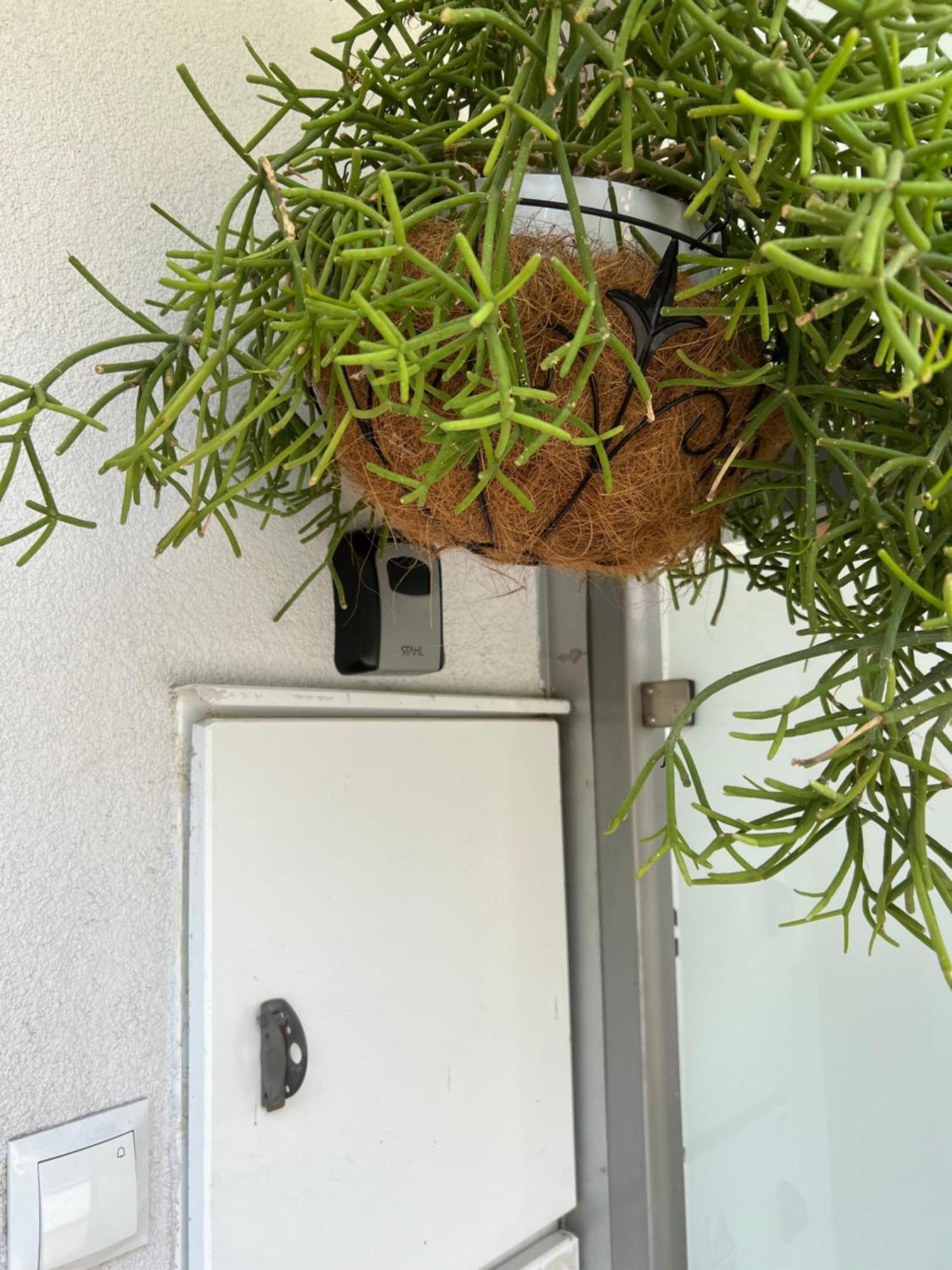 Apartament Wiktoria Wilanow Διαμέρισμα Βαρσοβία Εξωτερικό φωτογραφία